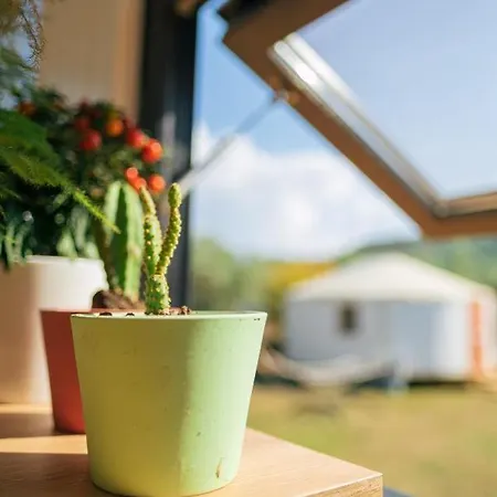 Κάμπινγκ Yol Glamping *