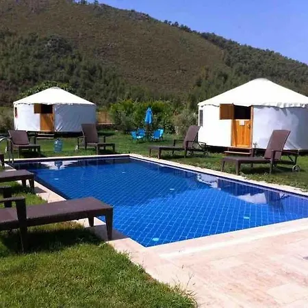 Yol Glamping キャンプ場 *