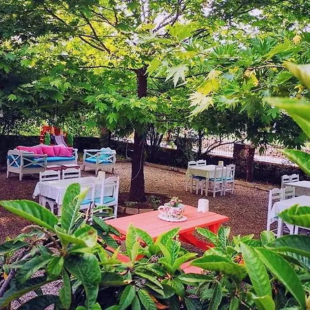 Yol Glamping キャンプ場
